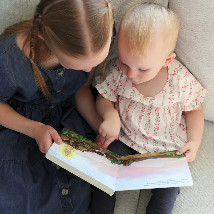 Our Lady of Guadalupe