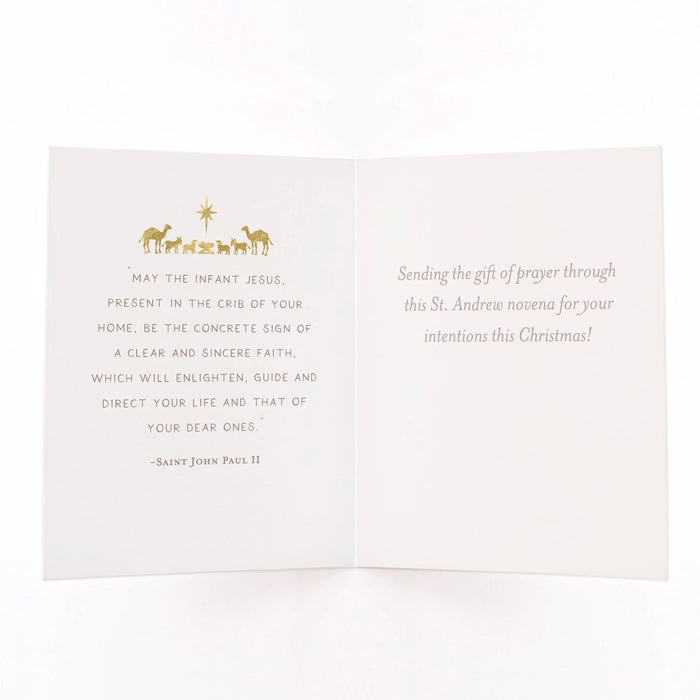 Novena Card | St. Andrew Christmas Novena
